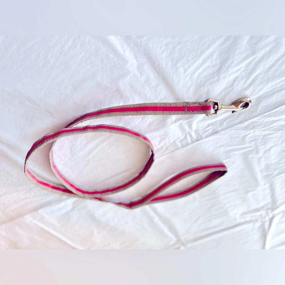 REFLECTIVE Stylish Pink Grey & Silver Dog Leash 49”